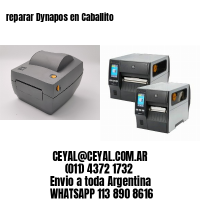 reparar Dynapos en Caballito