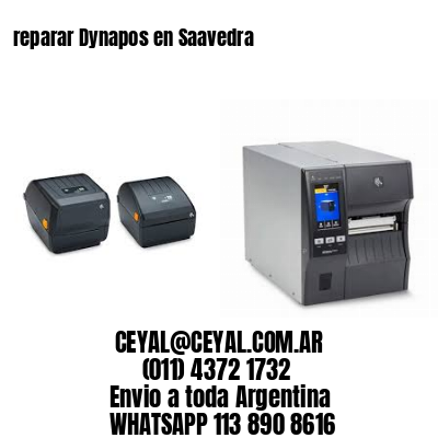 reparar Dynapos en Saavedra