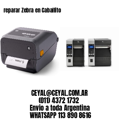 reparar Zebra en Caballito