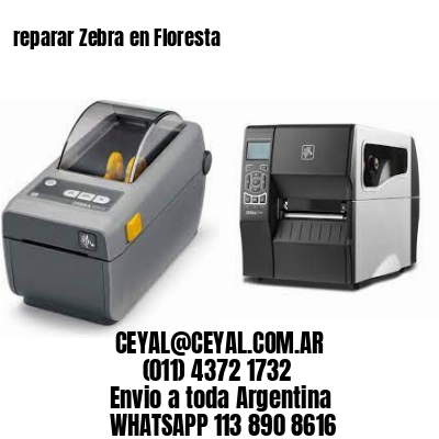 reparar Zebra en Floresta