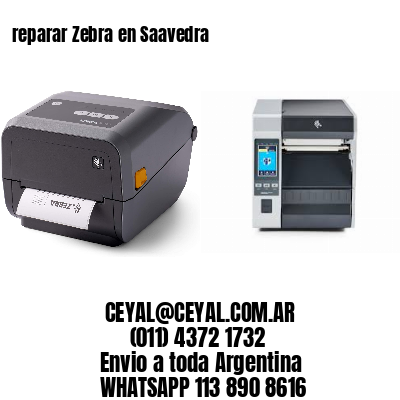 reparar Zebra en Saavedra