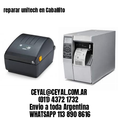 reparar unitech en Caballito