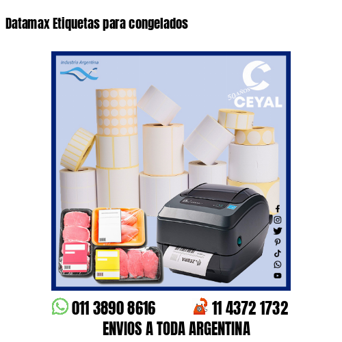 Datamax Etiquetas para congelados