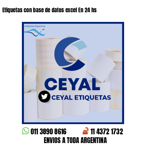 Etiquetas con base de datos excel En 24 hs