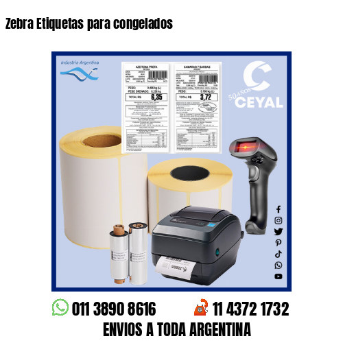 Zebra Etiquetas para congelados