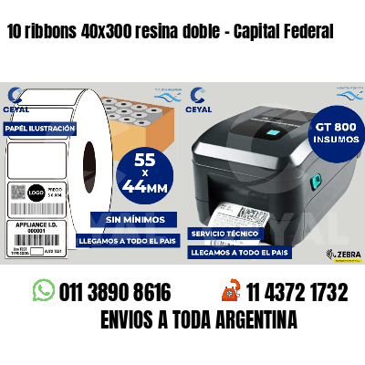 10 ribbons 40x300 resina doble - Capital Federal