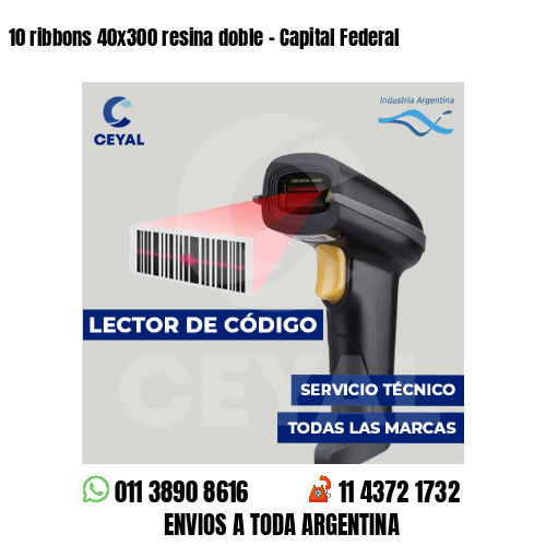 10 ribbons 40x300 resina doble - Capital Federal