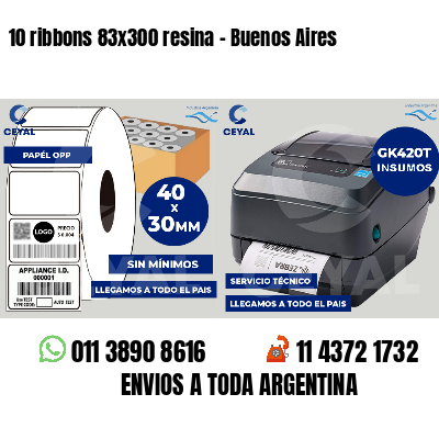 10 ribbons 83x300 resina - Buenos Aires