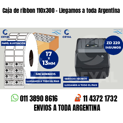 Caja de ribbon 110x300 - Llegamos a toda Argentina