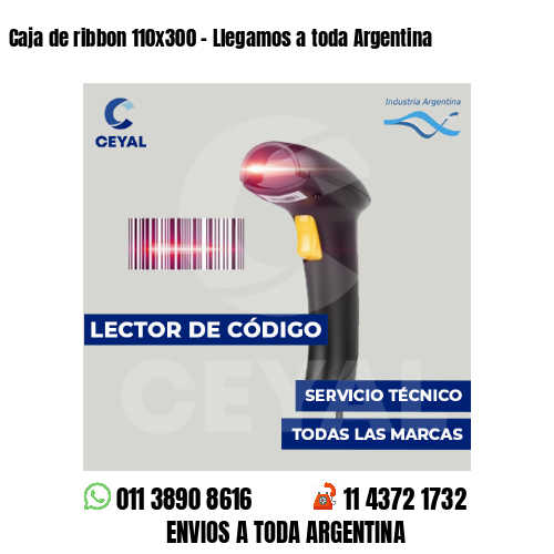 Caja de ribbon 110x300 - Llegamos a toda Argentina