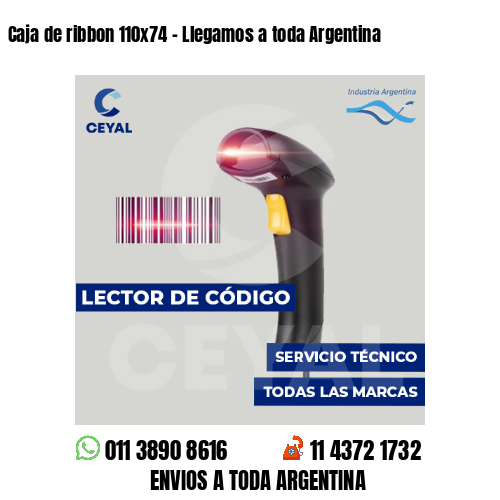 Caja de ribbon 110x74 - Llegamos a toda Argentina