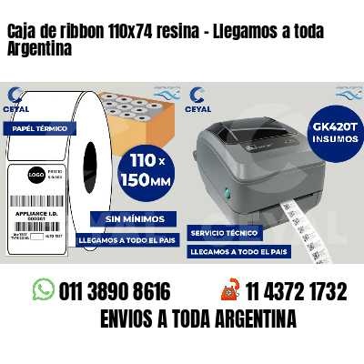 Caja de ribbon 110x74 resina - Llegamos a toda Argentina