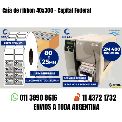 Caja de ribbon 40x300 - Capital Federal