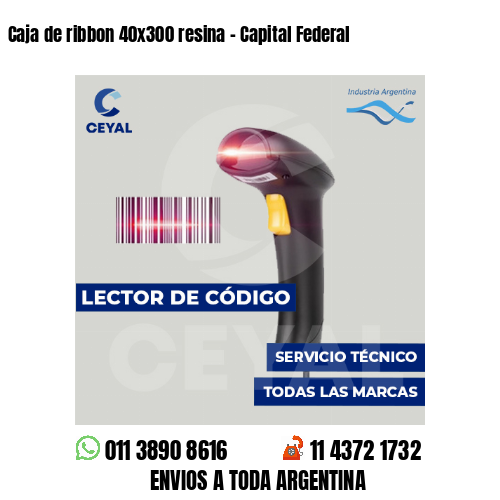 Caja de ribbon 40x300 resina - Capital Federal