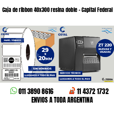 Caja de ribbon 40x300 resina doble - Capital Federal