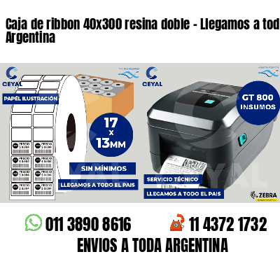 Caja de ribbon 40x300 resina doble - Llegamos a toda Argentina