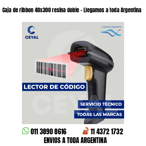 Caja de ribbon 40x300 resina doble - Llegamos a toda Argentina