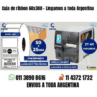 Caja de ribbon 60x300 - Llegamos a toda Argentina