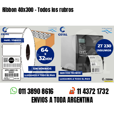 Ribbon 40x300 - Todos los rubros