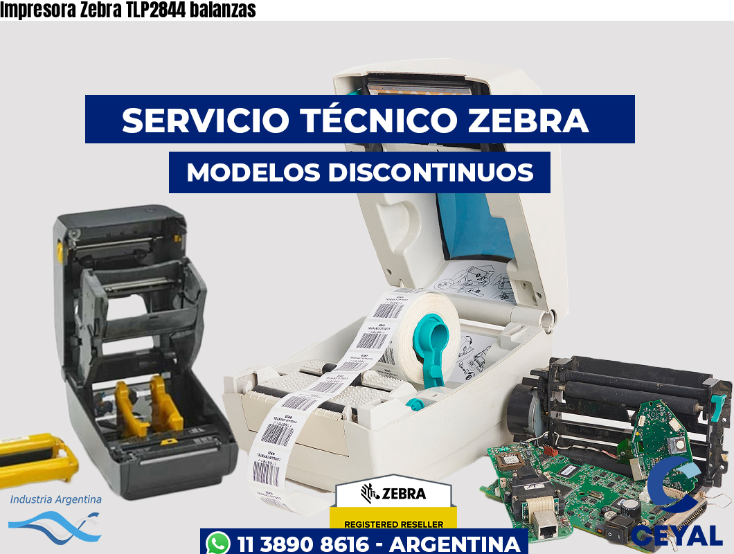 Impresora Zebra TLP2844 balanzas