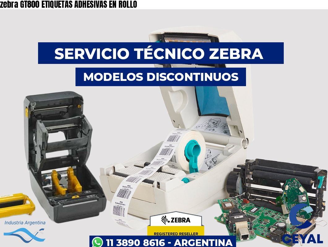 zebra GT800 ETIQUETAS ADHESIVAS EN ROLLO