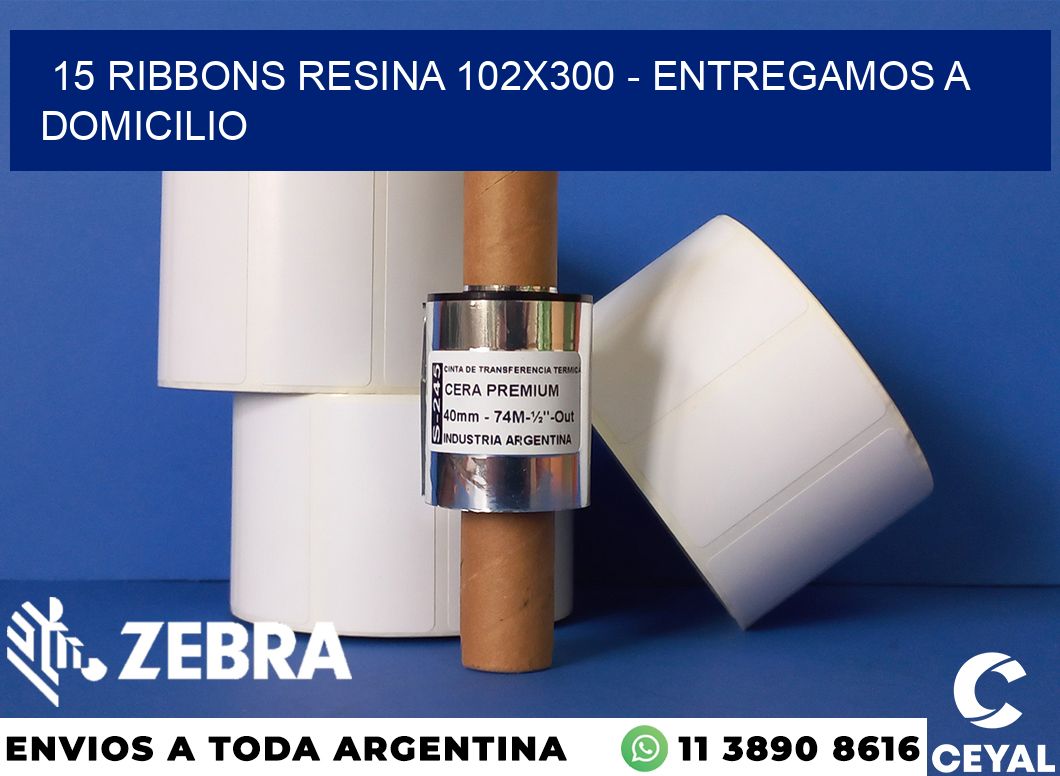 15 Ribbons resina 102x300 - entregamos a domicilio