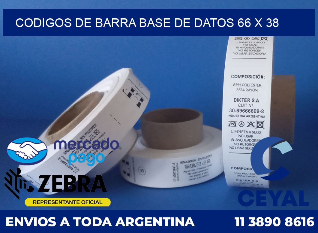 Codigos de barra base de datos 66 x 38