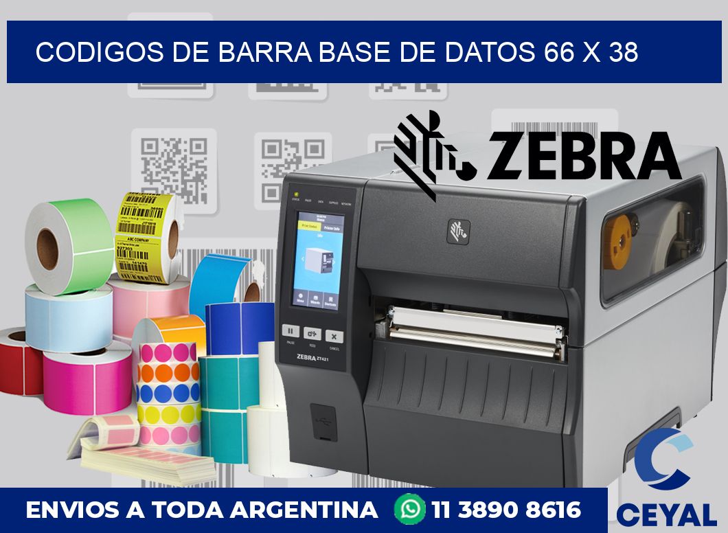 Codigos de barra base de datos 66 x 38