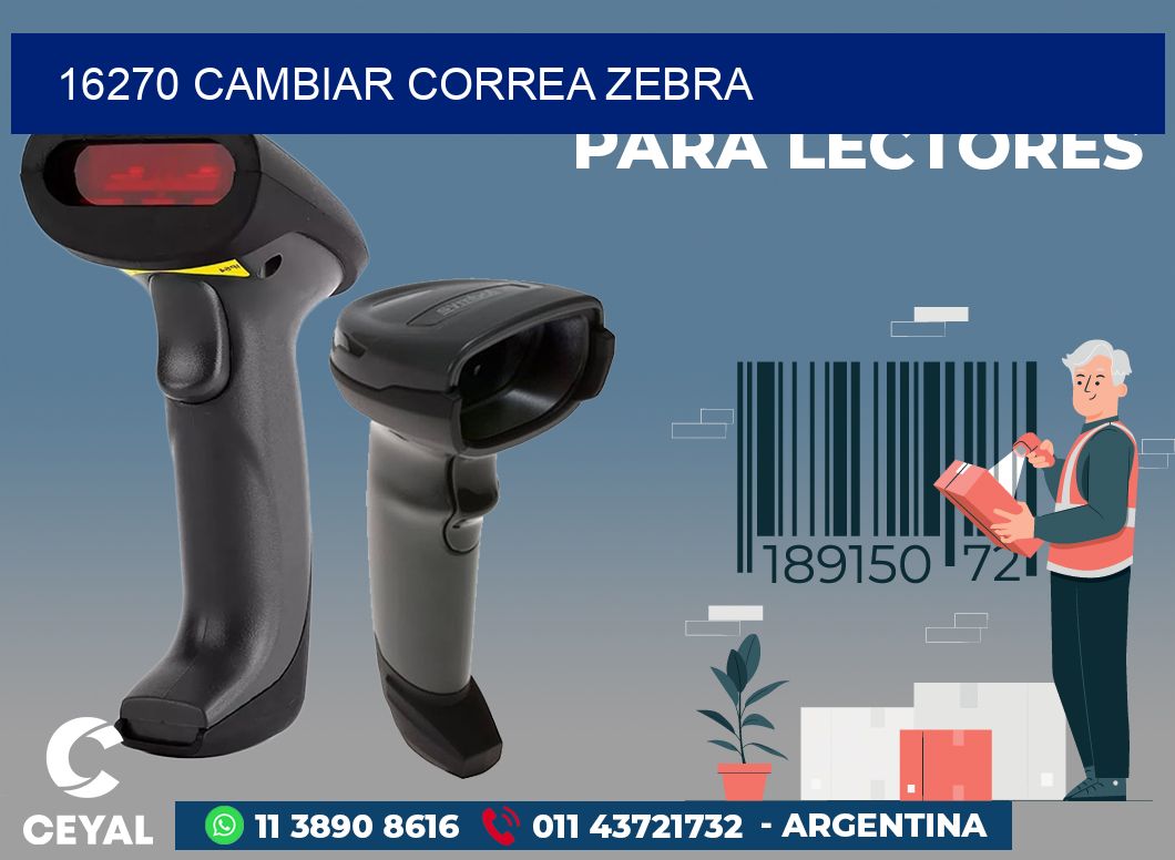 16270 CAMBIAR CORREA ZEBRA