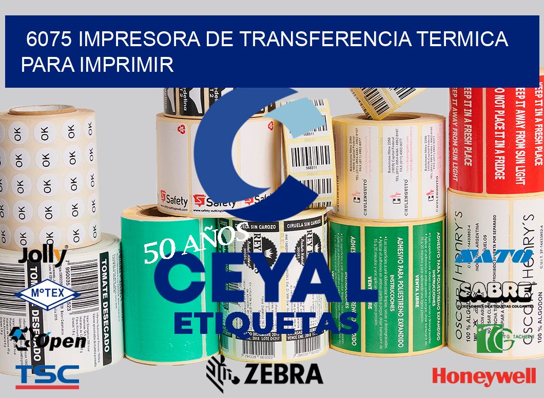 6075 IMPRESORA DE TRANSFERENCIA TERMICA PARA IMPRIMIR