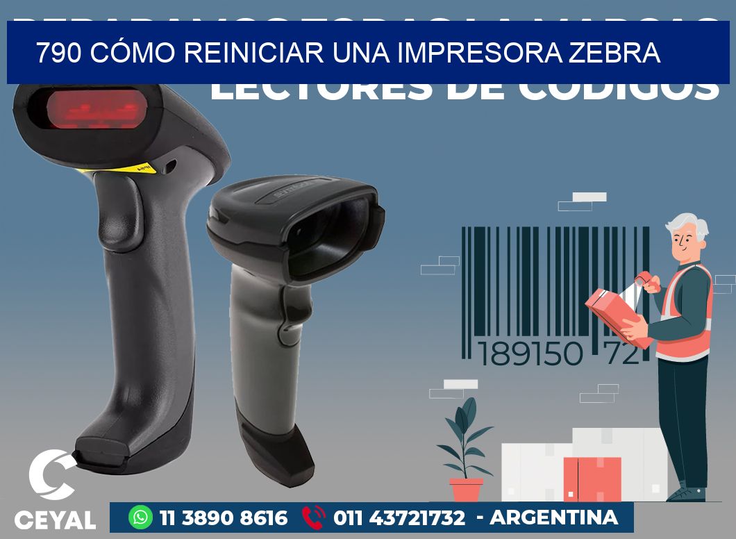 790 CÓMO REINICIAR UNA IMPRESORA ZEBRA