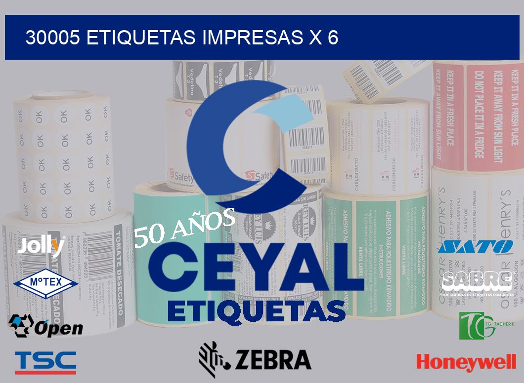 30005 Etiquetas impresas x 6