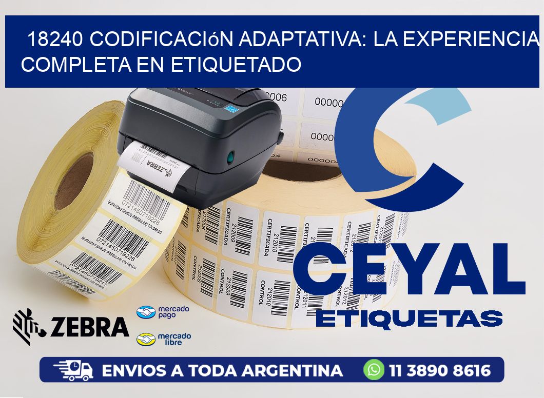 18240 Codificación Adaptativa: La Experiencia Completa en Etiquetado