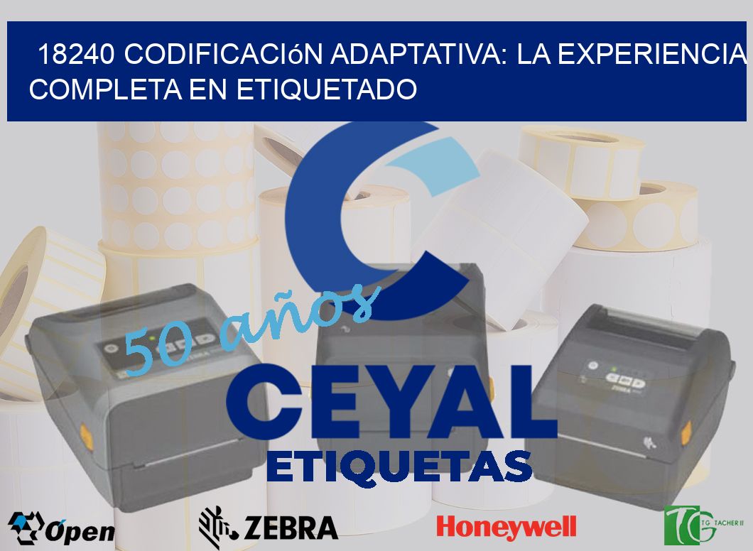 18240 Codificación Adaptativa: La Experiencia Completa en Etiquetado