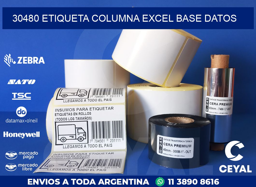 30480 etiqueta columna excel base datos