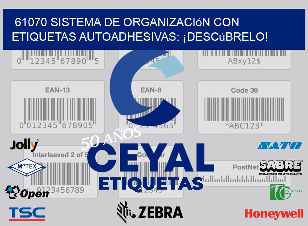 61070 Sistema de Organización con Etiquetas Autoadhesivas: ¡Descúbrelo!