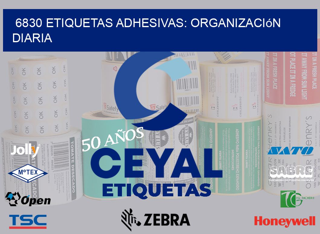 6830 Etiquetas Adhesivas: Organización Diaria