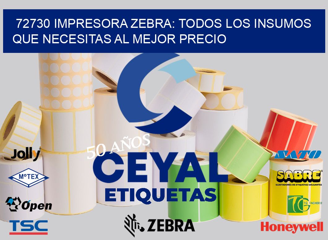 72730 IMPRESORA ZEBRA: TODOS LOS INSUMOS QUE NECESITAS AL MEJOR PRECIO