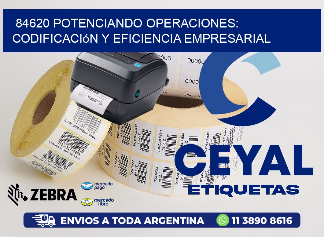 84620 Potenciando Operaciones: Codificación y Eficiencia Empresarial