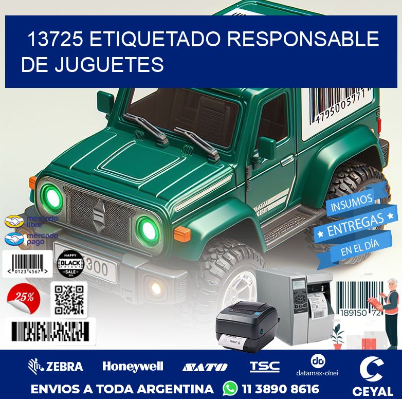 13725 ETIQUETADO RESPONSABLE DE JUGUETES