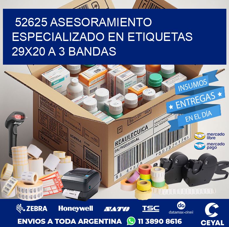 52625 ASESORAMIENTO ESPECIALIZADO EN ETIQUETAS 29X20 A 3 BANDAS