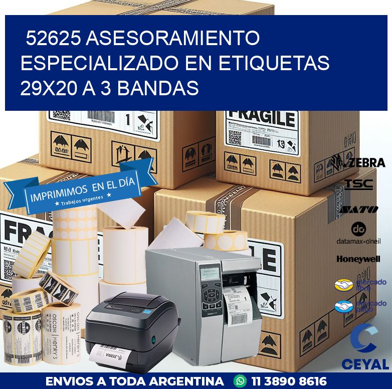 52625 ASESORAMIENTO ESPECIALIZADO EN ETIQUETAS 29X20 A 3 BANDAS