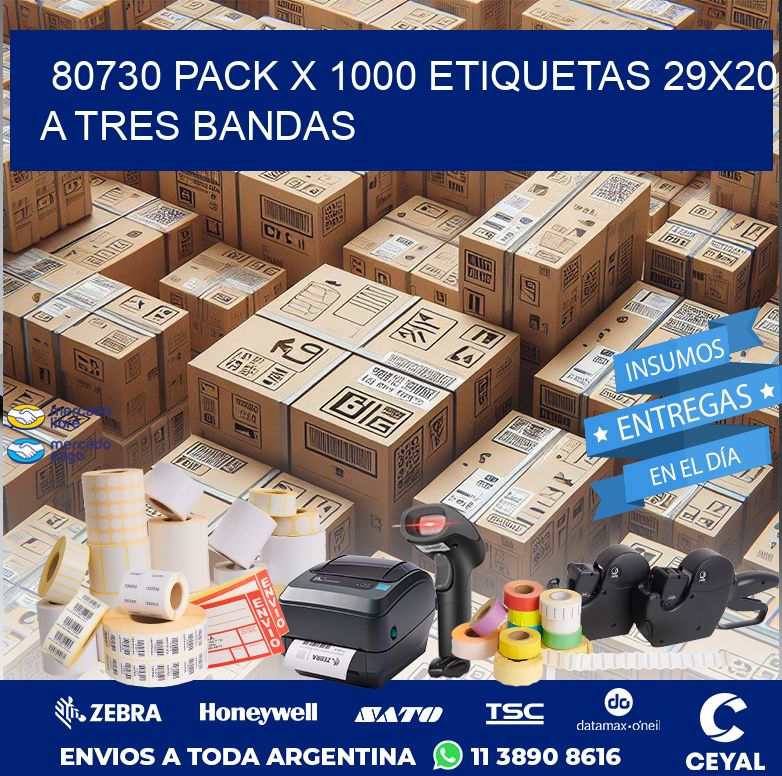 80730 PACK X 1000 ETIQUETAS 29X20 A TRES BANDAS