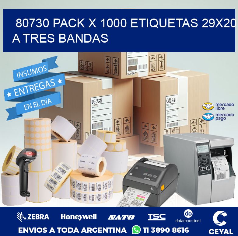 80730 PACK X 1000 ETIQUETAS 29X20 A TRES BANDAS