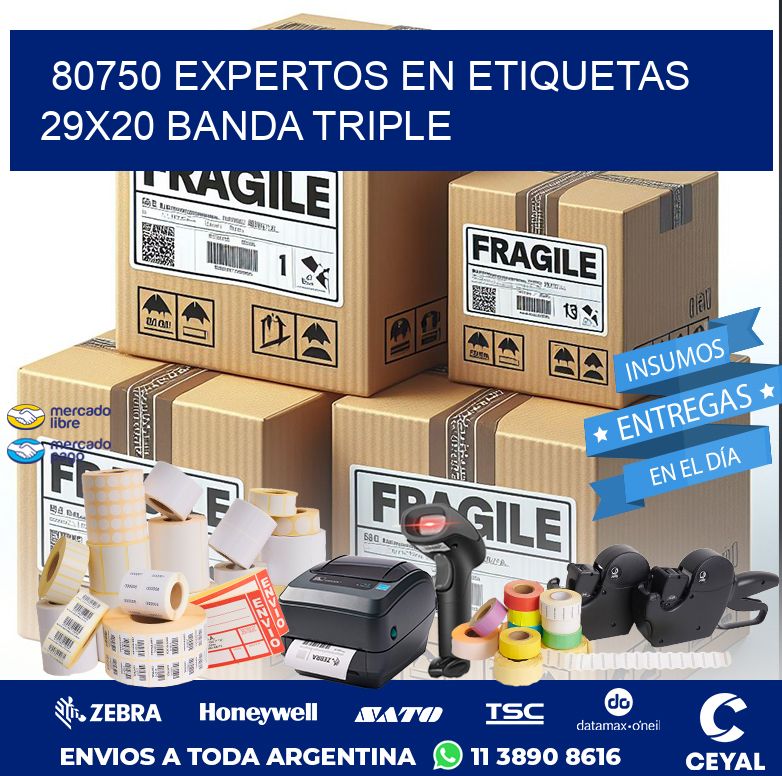 80750 EXPERTOS EN ETIQUETAS 29X20 BANDA TRIPLE