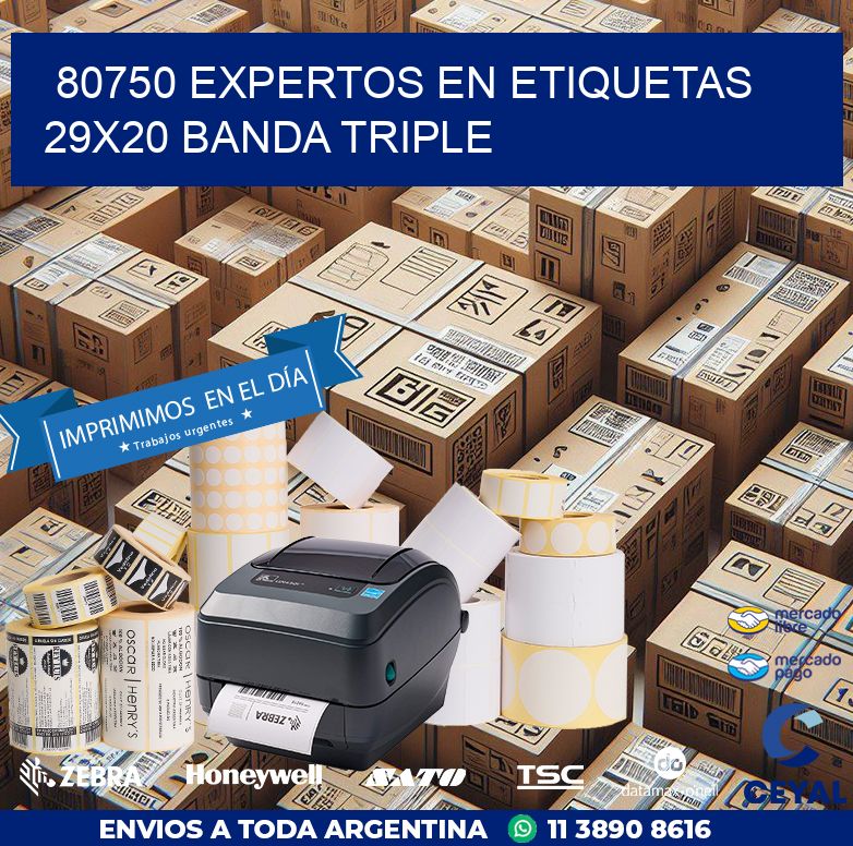 80750 EXPERTOS EN ETIQUETAS 29X20 BANDA TRIPLE