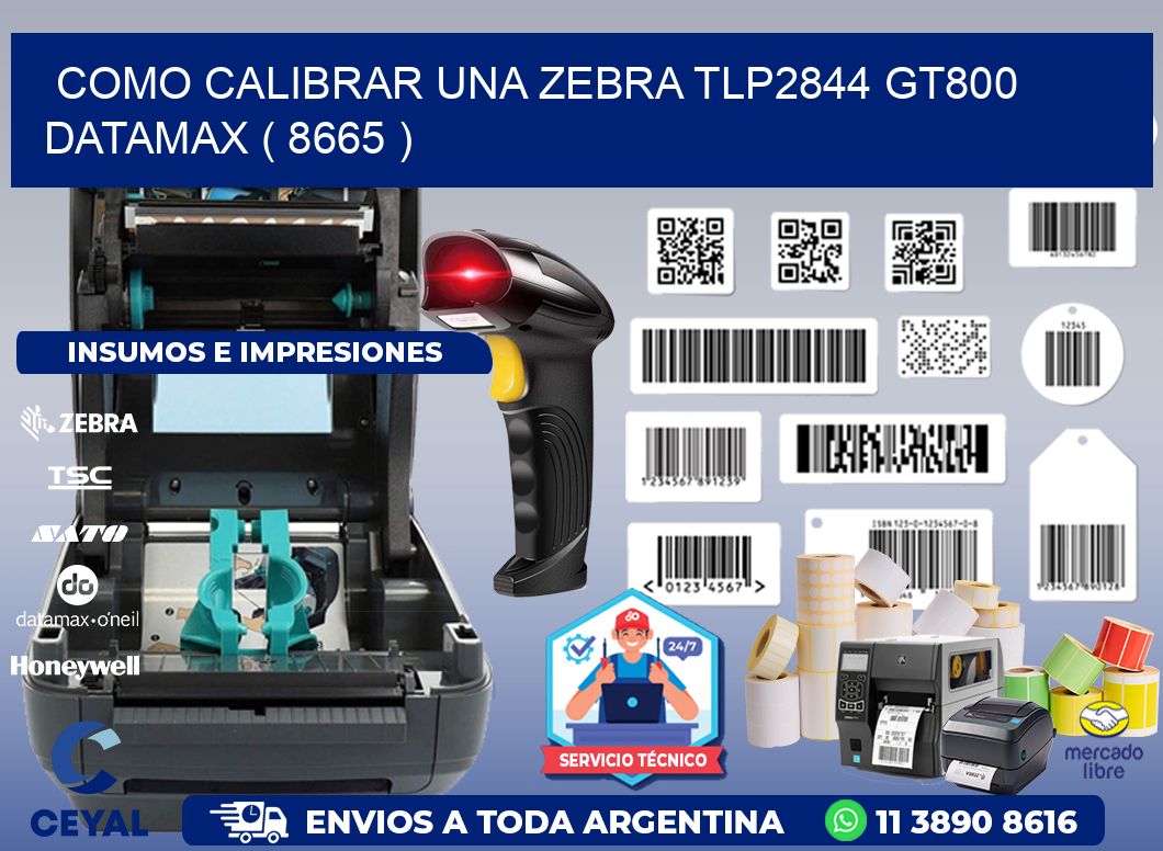 COMO CALIBRAR UNA ZEBRA TLP2844 GT800 DATAMAX ( 8665 )