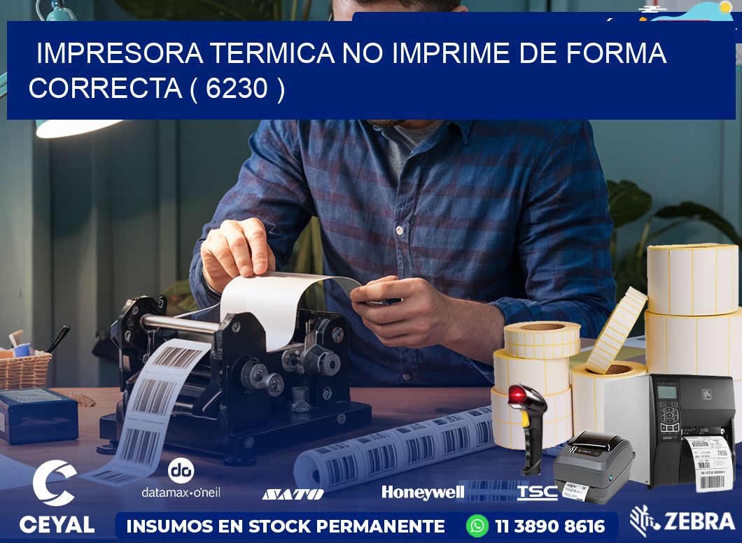 IMPRESORA TERMICA NO IMPRIME DE FORMA CORRECTA ( 6230 )