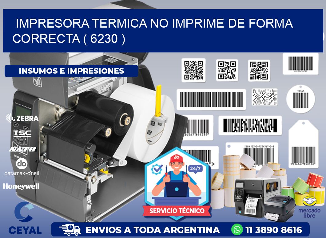 IMPRESORA TERMICA NO IMPRIME DE FORMA CORRECTA ( 6230 )