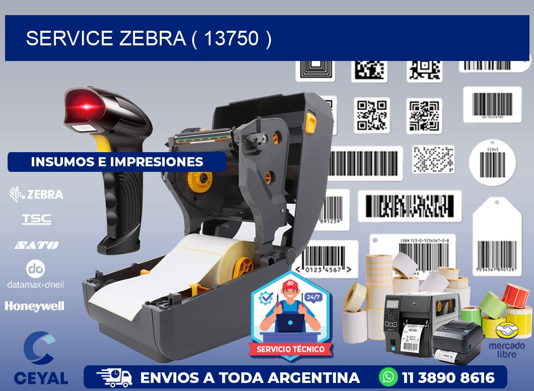 service zebra ( 13750 )